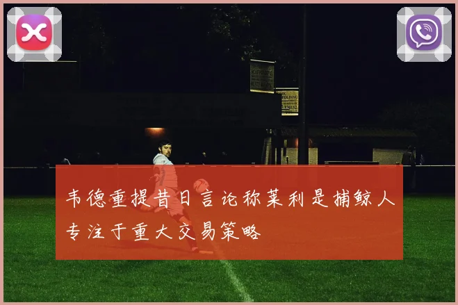 韦德重提昔日言论称莱利是捕鲸人专注于重大交易策略