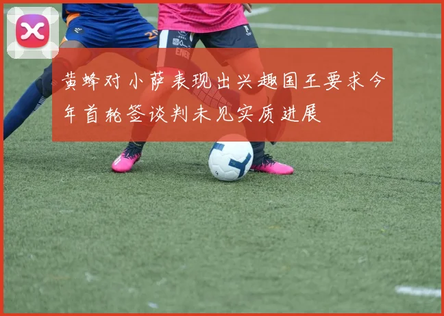 黄蜂对小萨表现出兴趣国王要求今年首轮签谈判未见实质进展