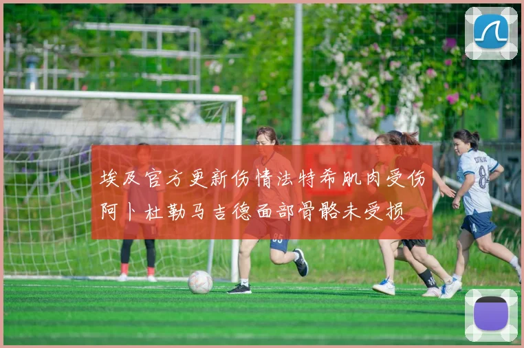 埃及官方更新伤情法特希肌肉受伤阿卜杜勒马吉德面部骨骼未受损